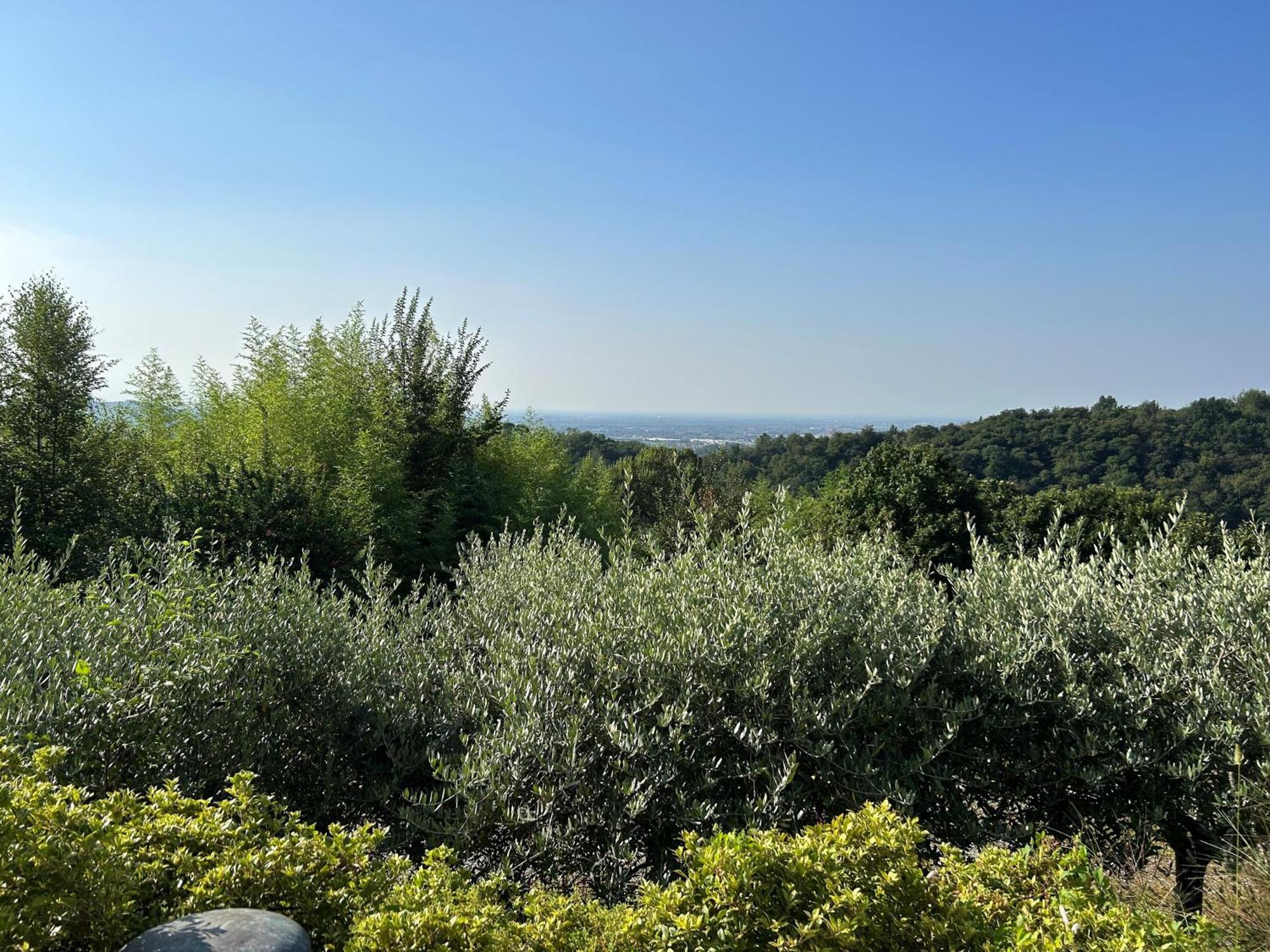 Agriturismo Al Robale Almenno San Bartolomeo Exteriör bild